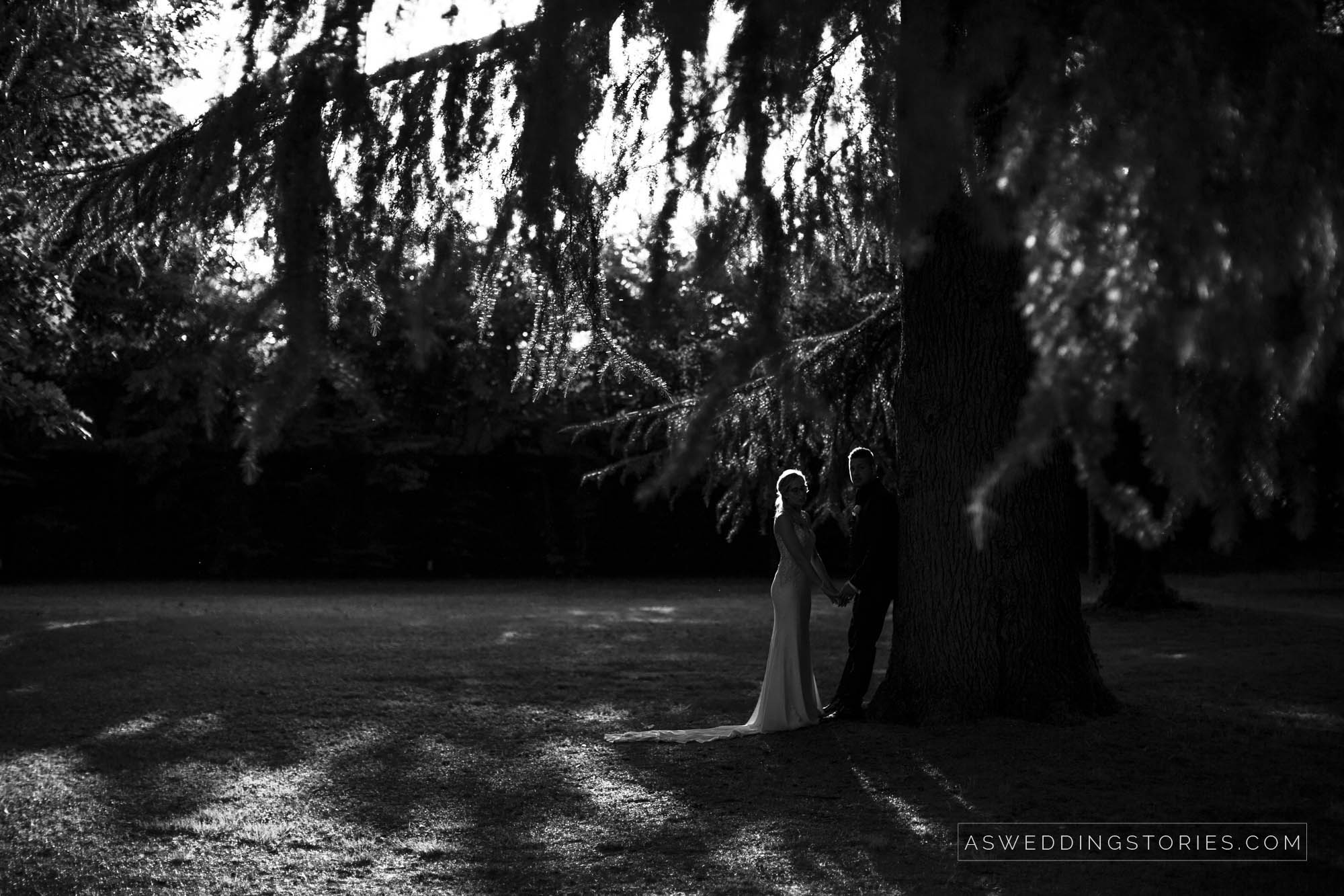 Foto  Salzano Villa Regina Corner di Cavasagra di Vedelago Laura e Claudio