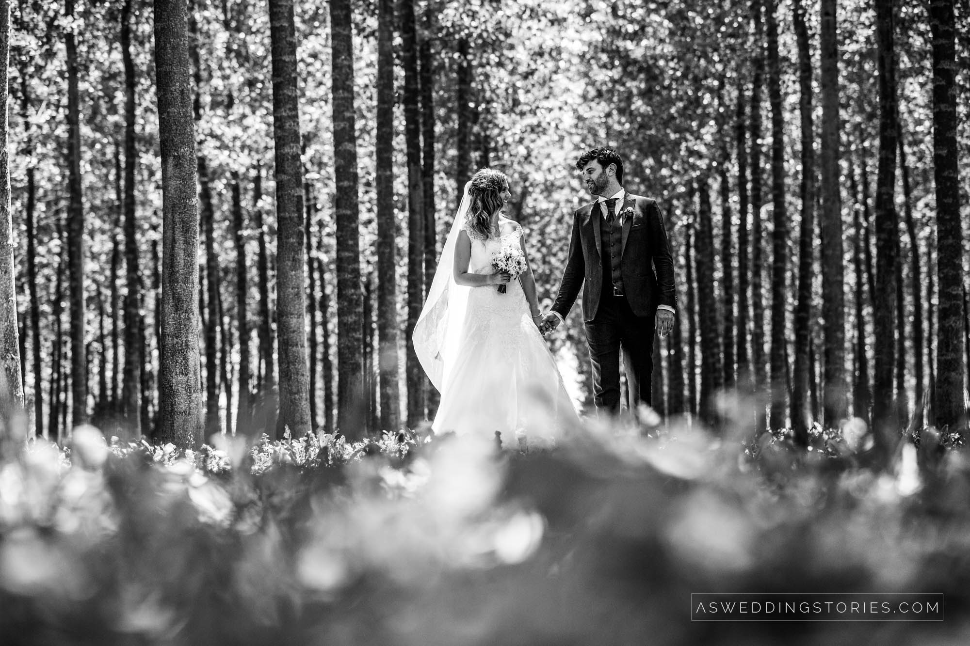 Foto  Scorzé Filanda Motta a Campocroce di Mogliano Sara e Roberto