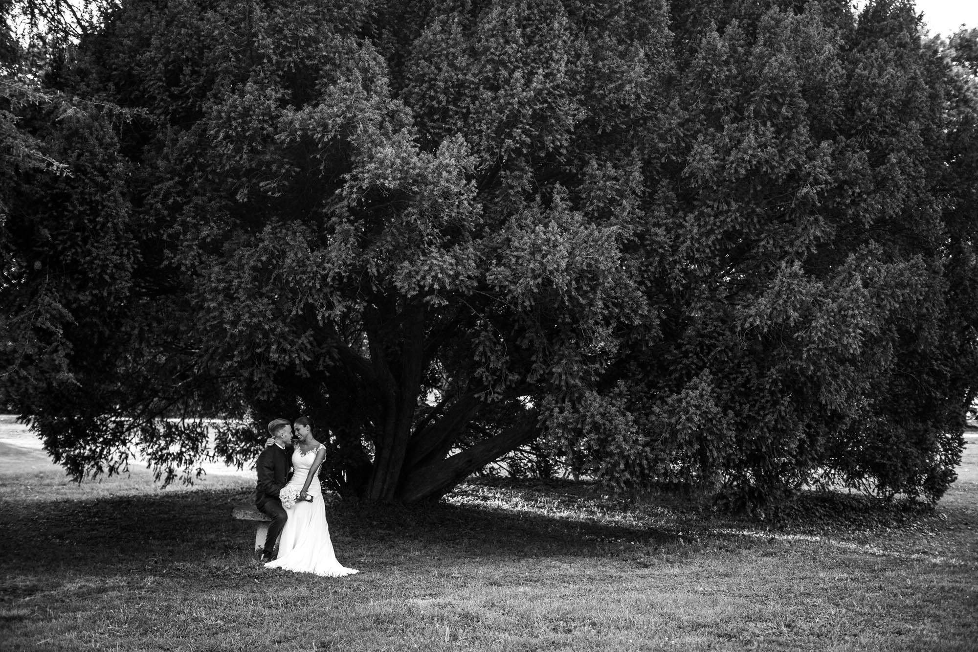 Foto  Loreggia Villa Godi Piovene Myriam e Matteo