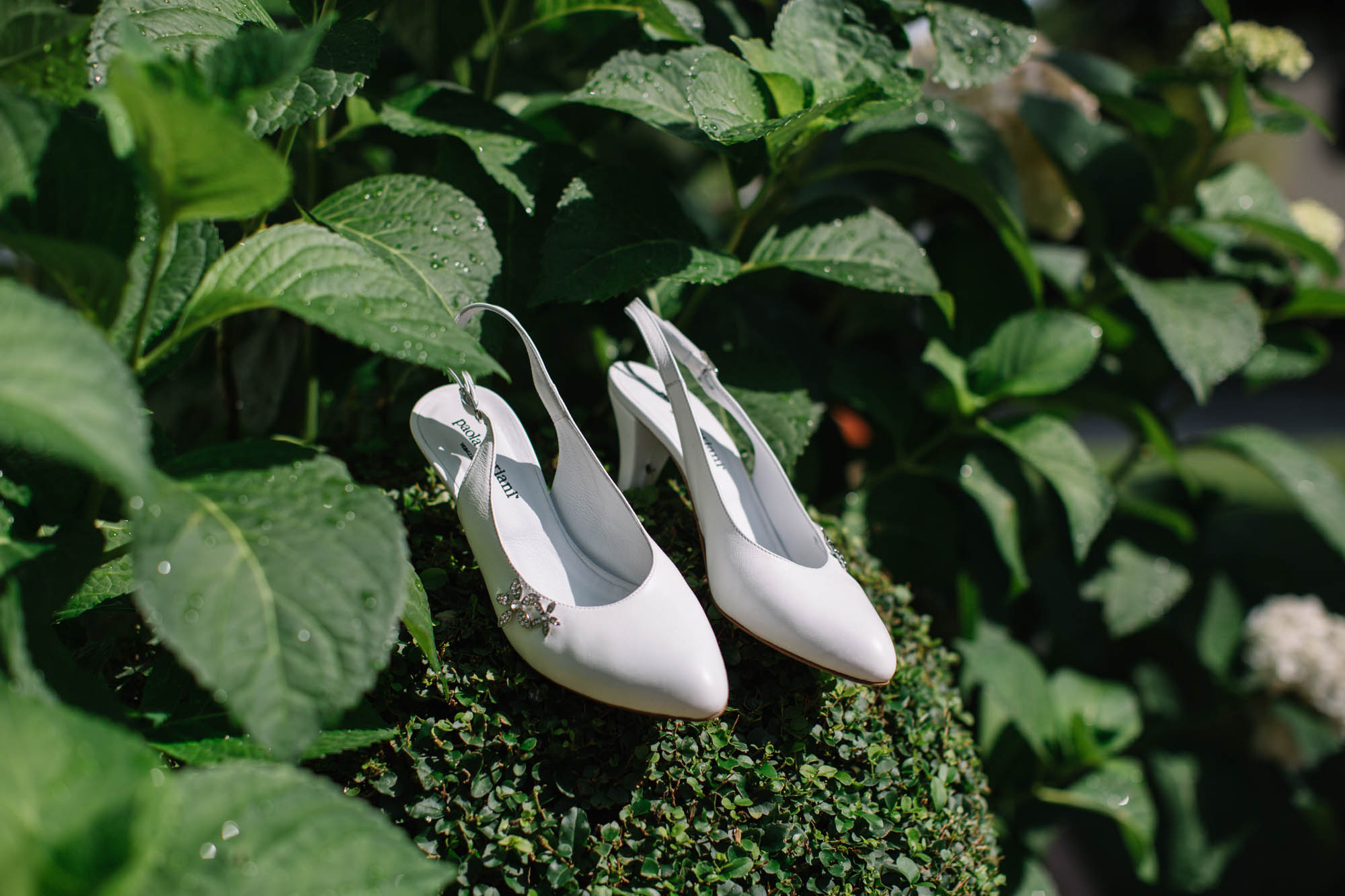 Foto  Piombino Dese Villa Calvi a Covolo Cinzia e Piergiacomo