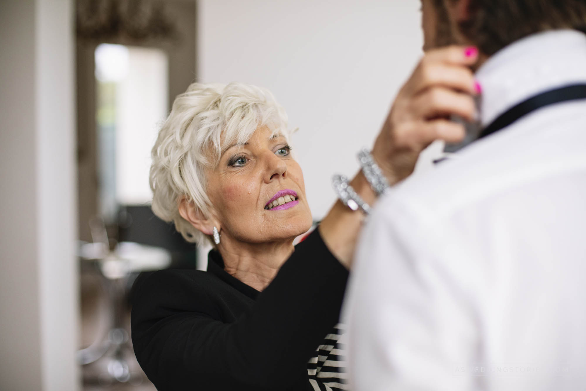 Foto  Monselice / Duomo Vecchio Padova / Villa Molin Alice e Michele