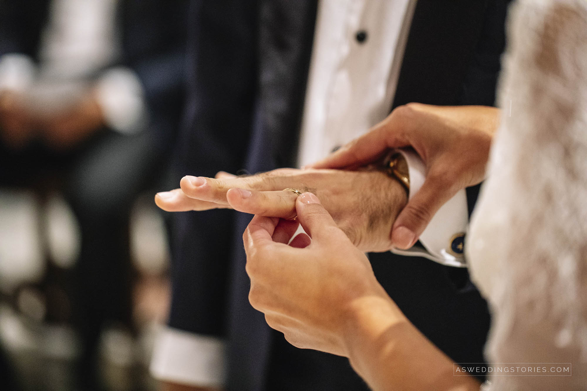 Foto  Monselice / Duomo Vecchio Padova / Villa Molin Alice e Michele