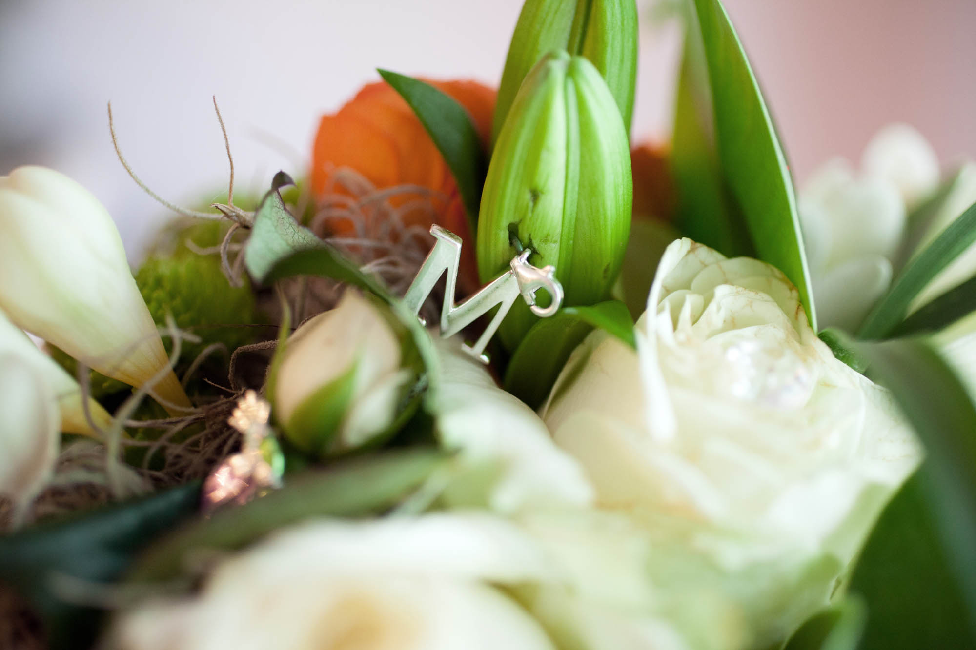 Foto  Abano Terme Villa Pollini Eva e Matheus