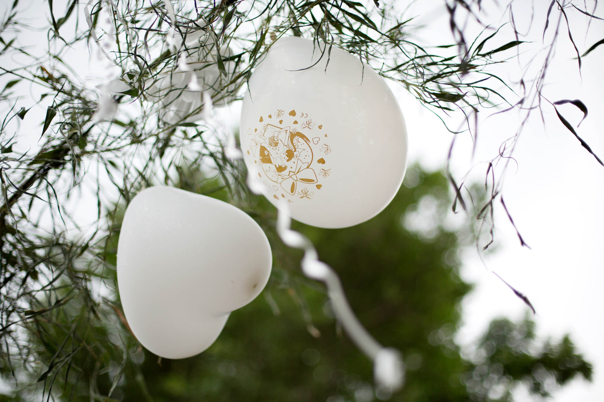 Foto  Asolo Villa Razzolini Loredan Monica e Ben
