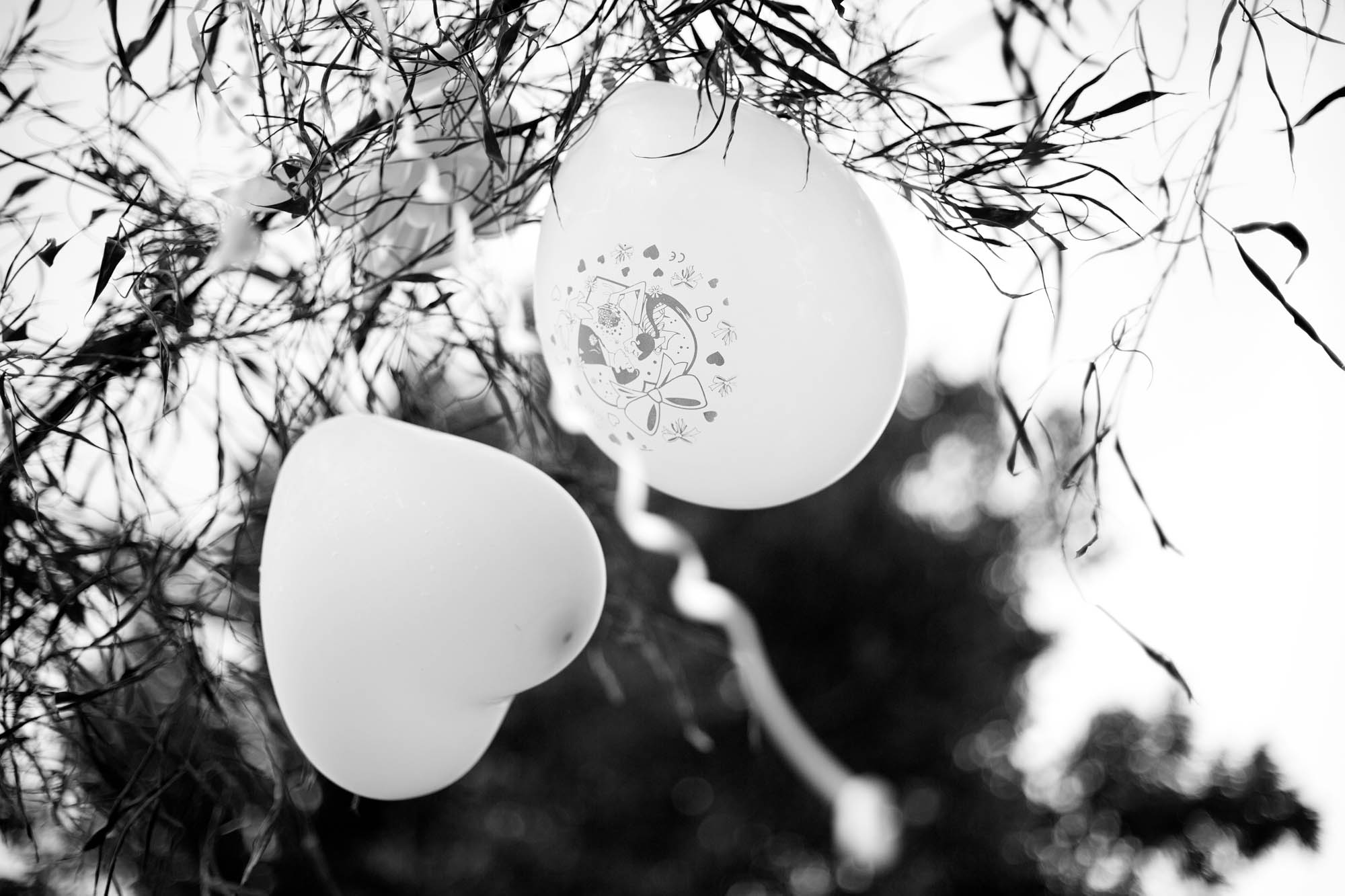 Foto  Asolo Villa Razzolini Loredan Monica e Ben