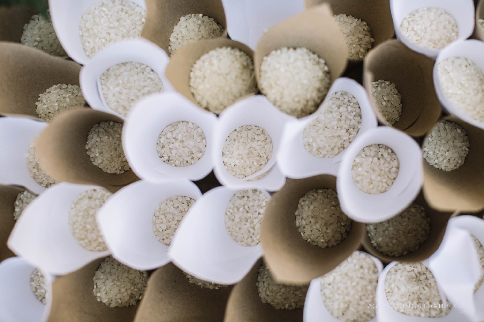 Foto  Salzano Frassanelle Villa Papafava Silvia e Matteo