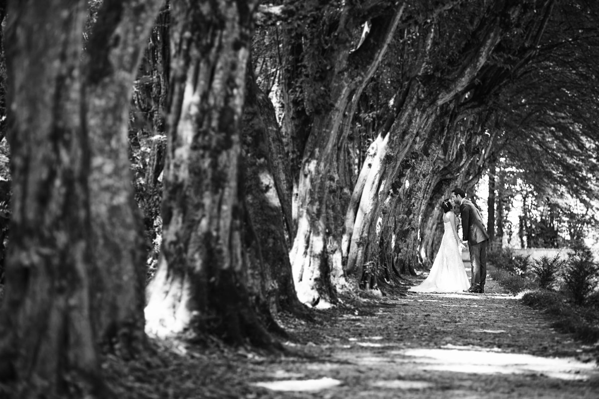 Foto  Trebaseleghe Villa Cà Marcello Barbara e Dario