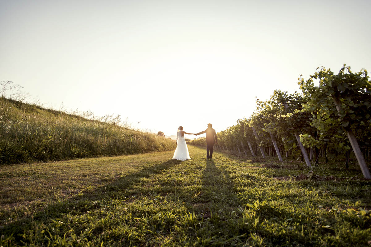 Foto  Mesarada di Padova Villa Petrobelli Daniela e Corrado