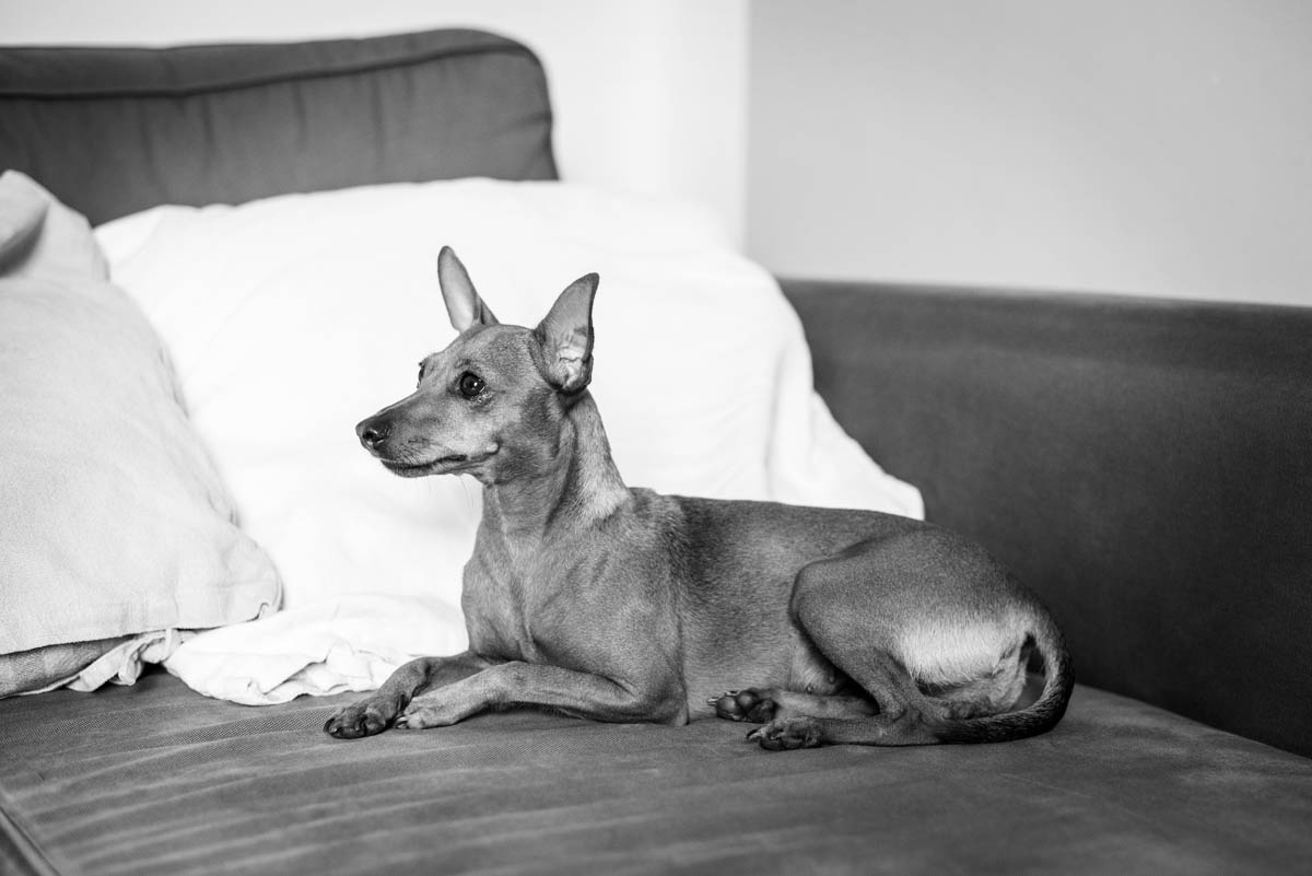 Foto  Verona Palazzo Verità Poeta / Verona Elisa e Andrea