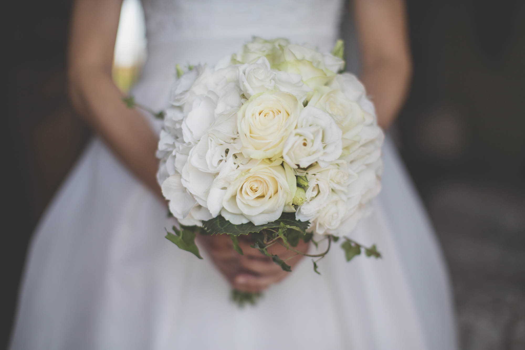 Foto  Scorzé Ristorante Vescovo Francesca e Leonardo