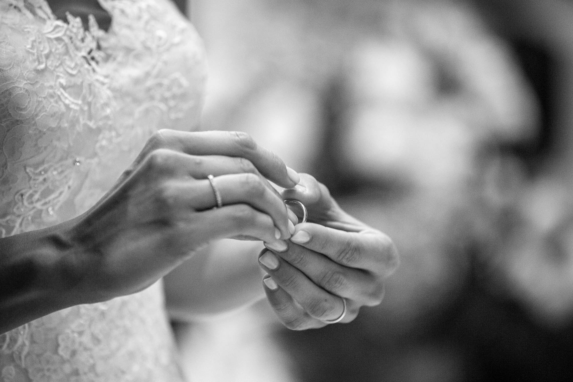 Foto  Vigodarzere Villa Petrobelli Lisa ed Enrico