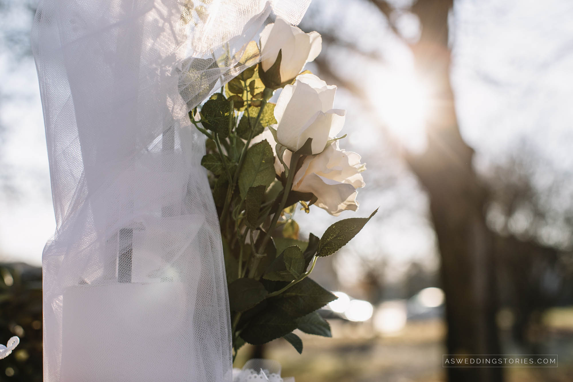 Foto  Castelfranco Veneto Villa Caprera Deborah & Paolo