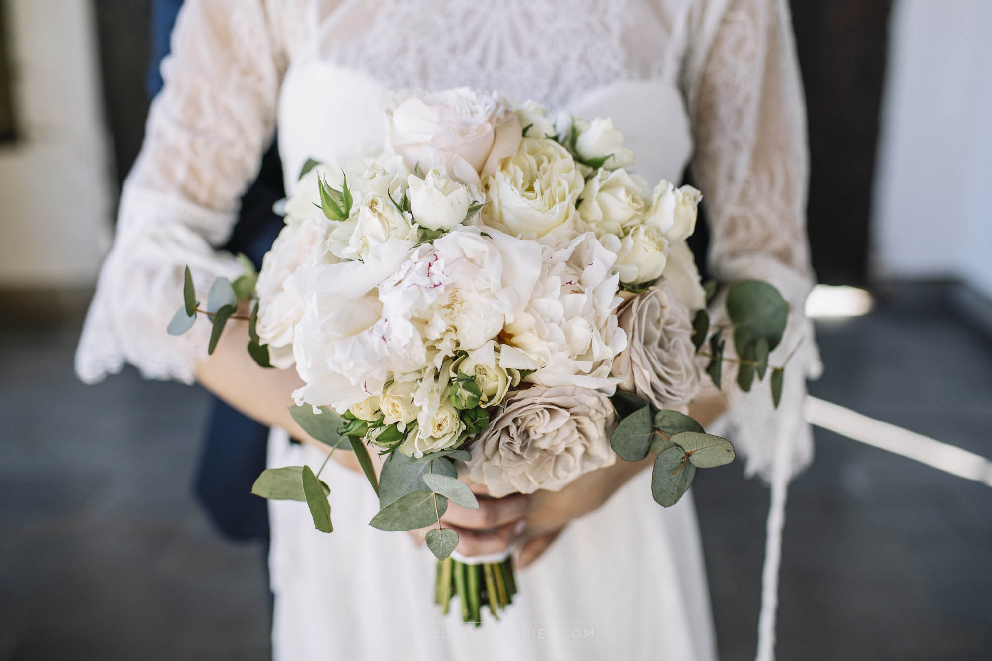 Foto  Trebaseleghe Ristorante Al Tezzon Silvia e Marco