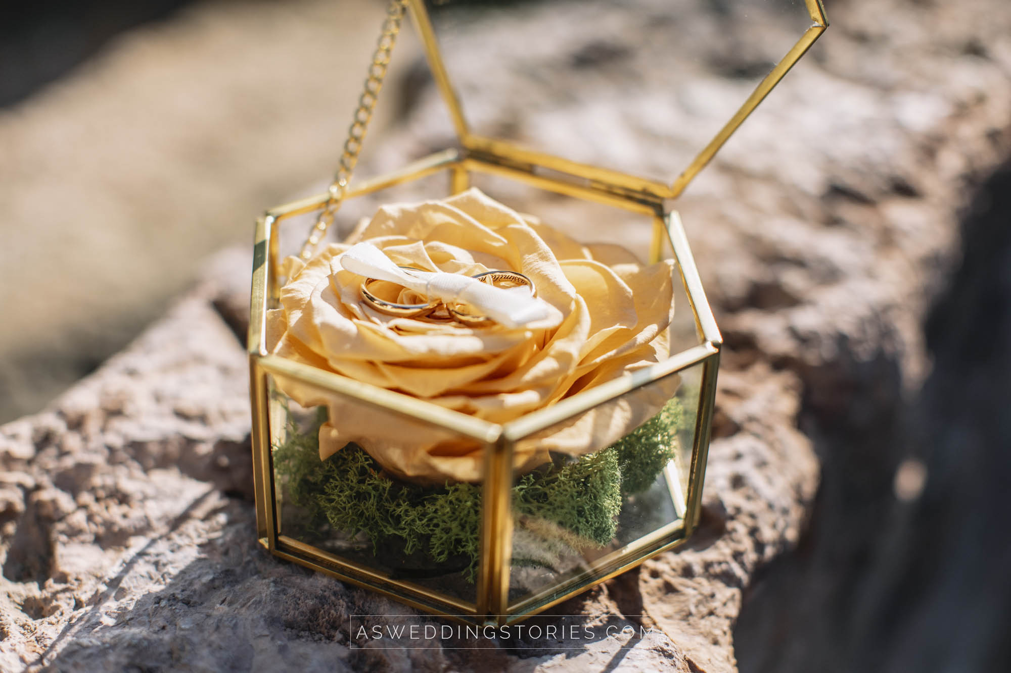 Foto  Silvelle di Trebaseleghe Villa Caprera Monica e Massimiliano