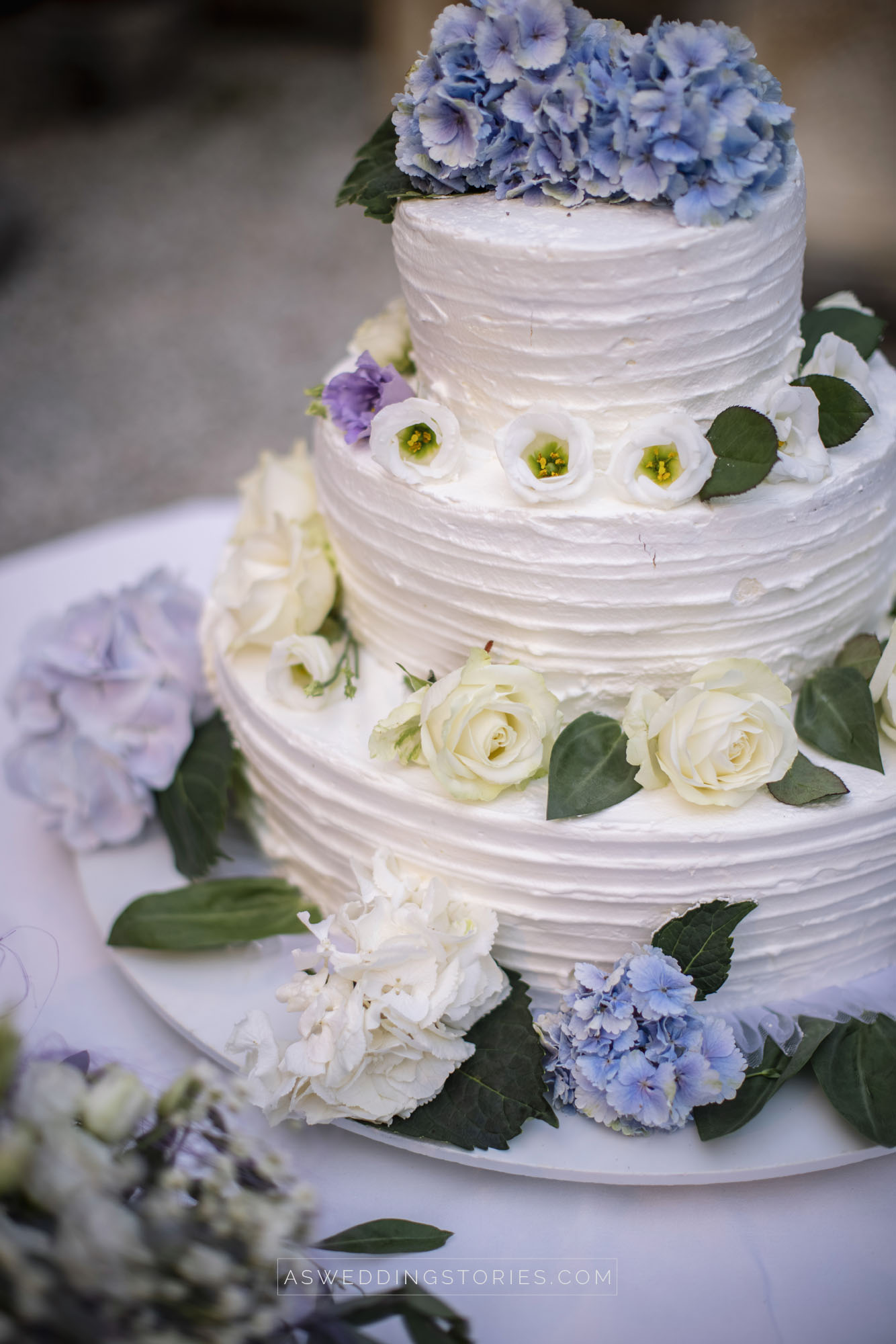 Foto  Santa Giustina in Colle Villa Bussandri Laura e Alberto