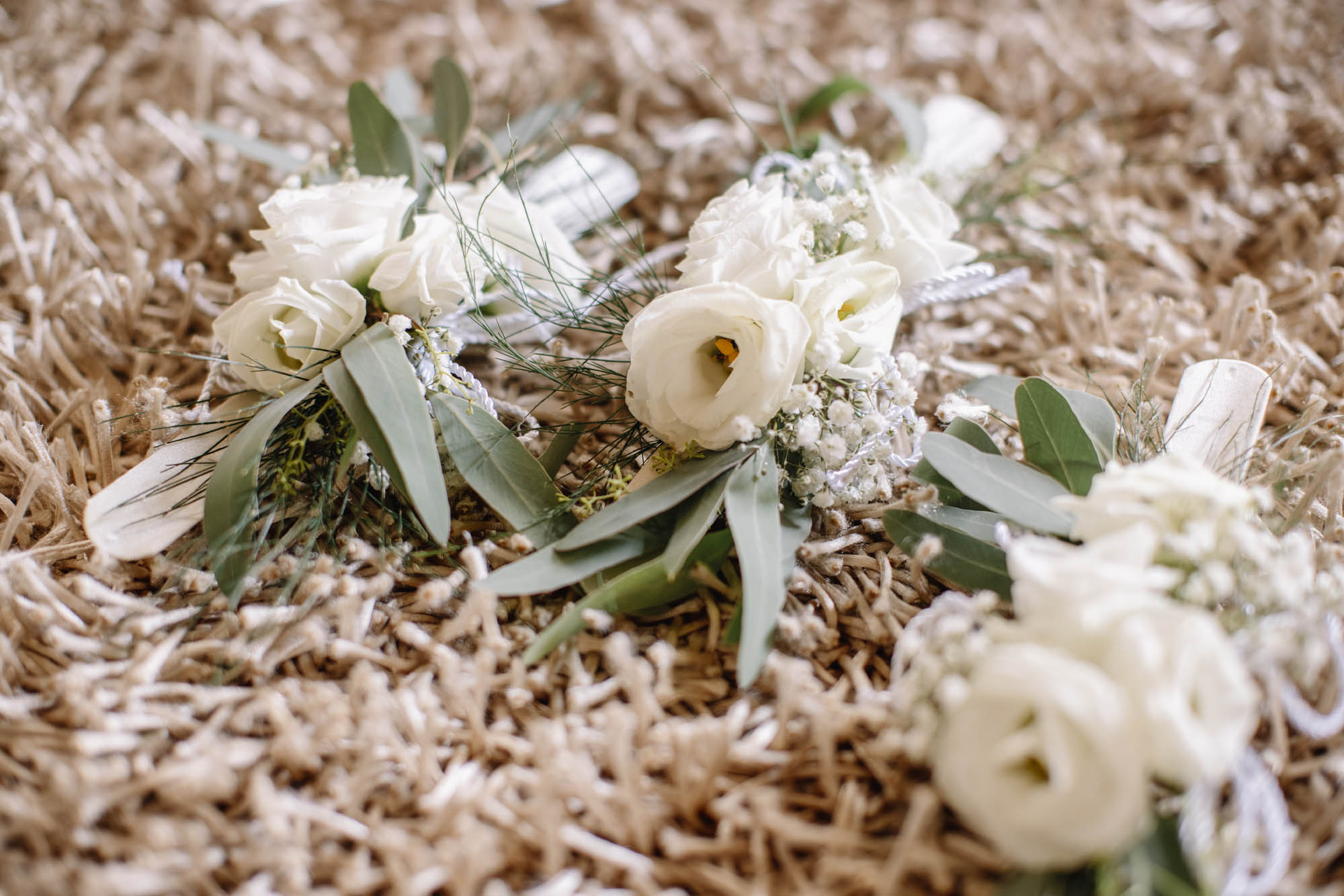 Foto  Trebaseleghe Villa Pacchierotti De Benedetti, Limena Maddalena e Jacopo