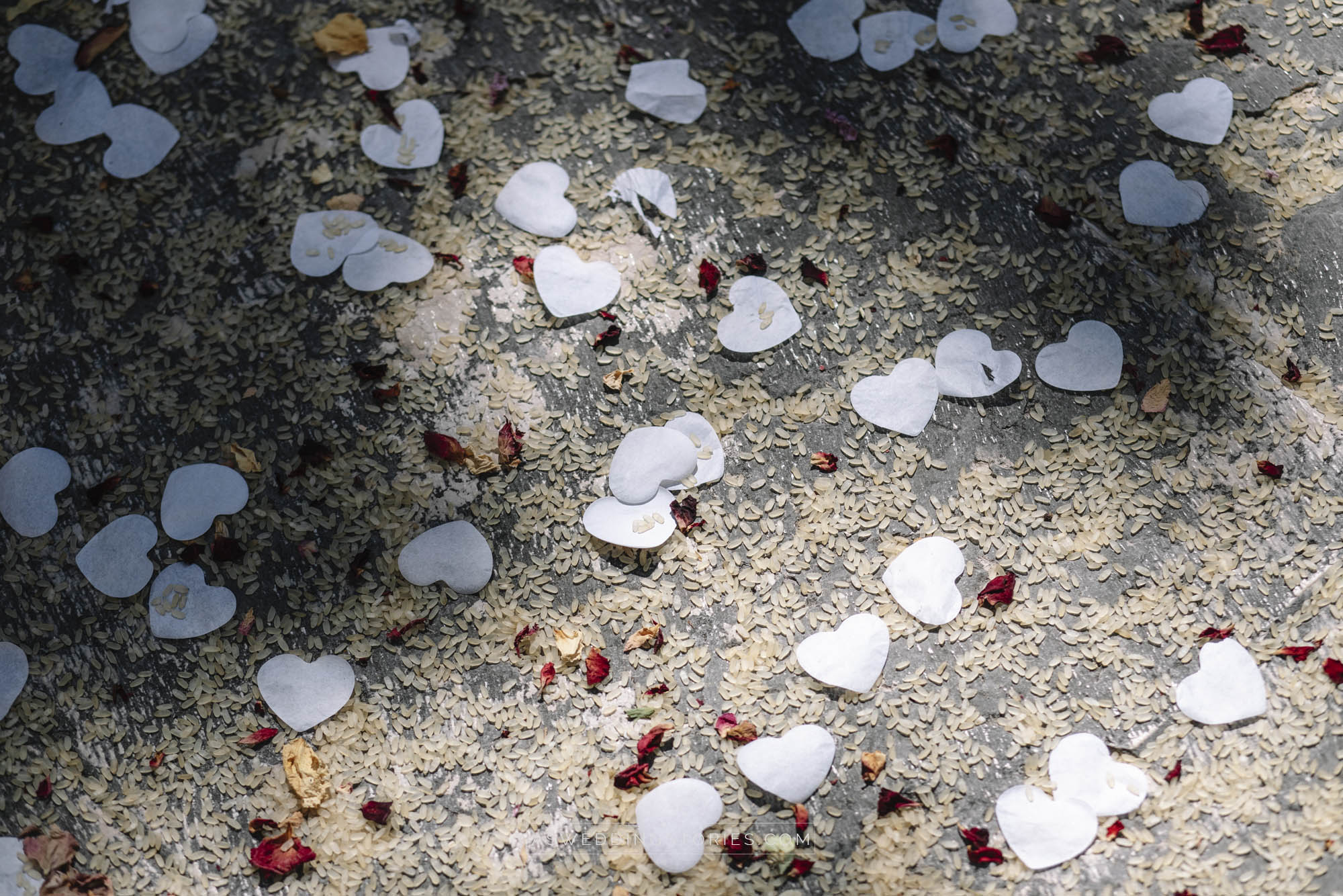 Foto  Treviso Villa Caprera Camilla e Andrea