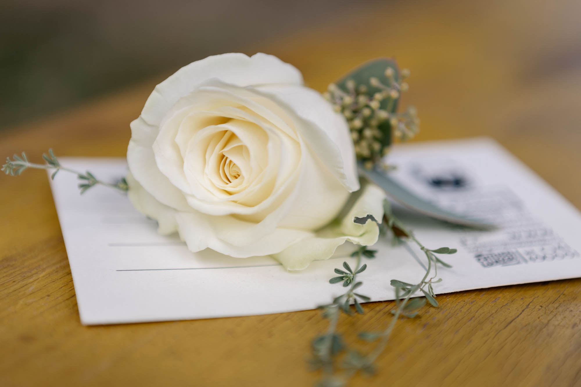 Foto  Rovolon Villa Frassanelle Papa Fava Valentina e Nicola