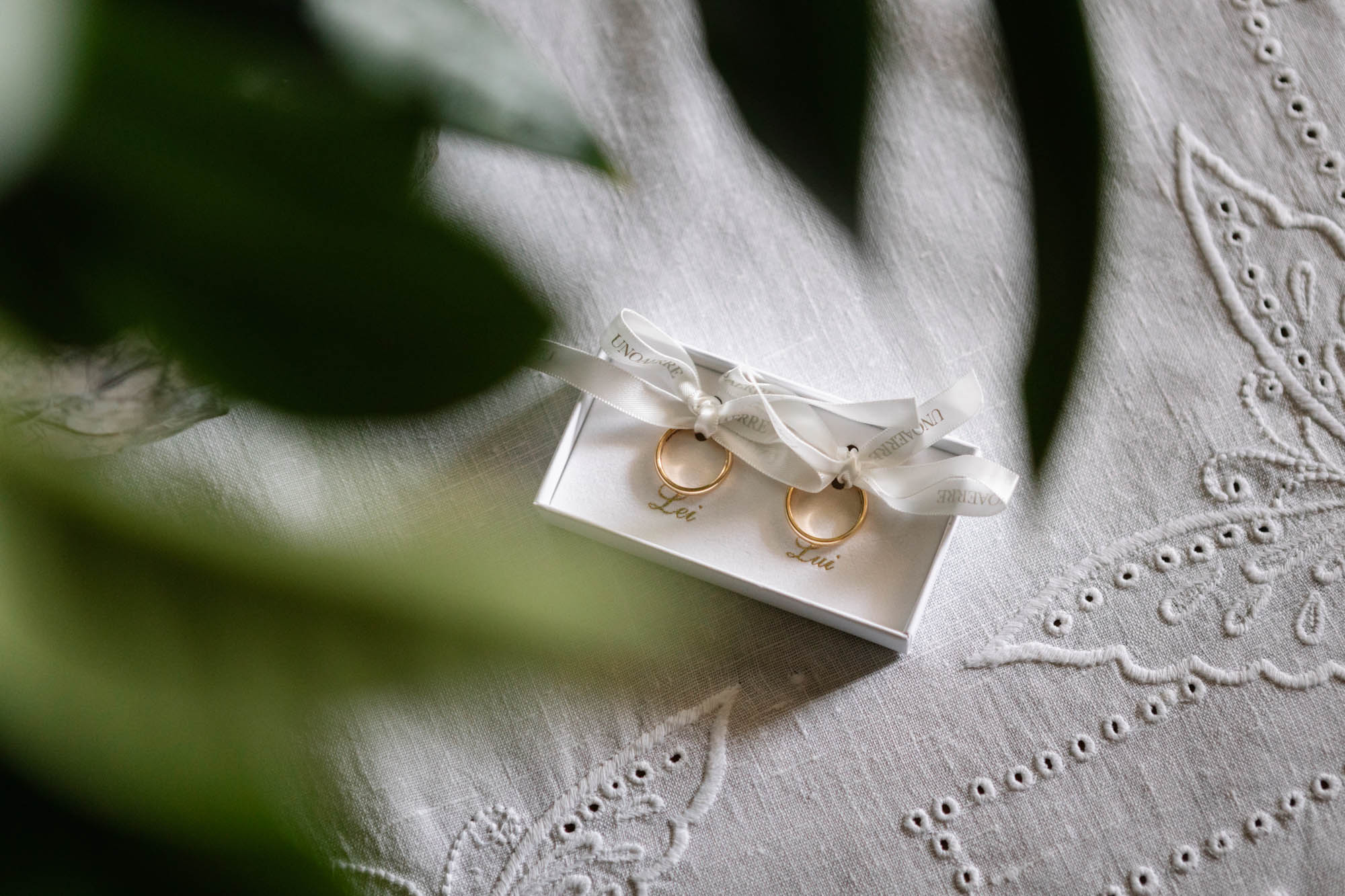 Foto  Rovolon Villa Frassanelle Papa Fava Valentina e Nicola