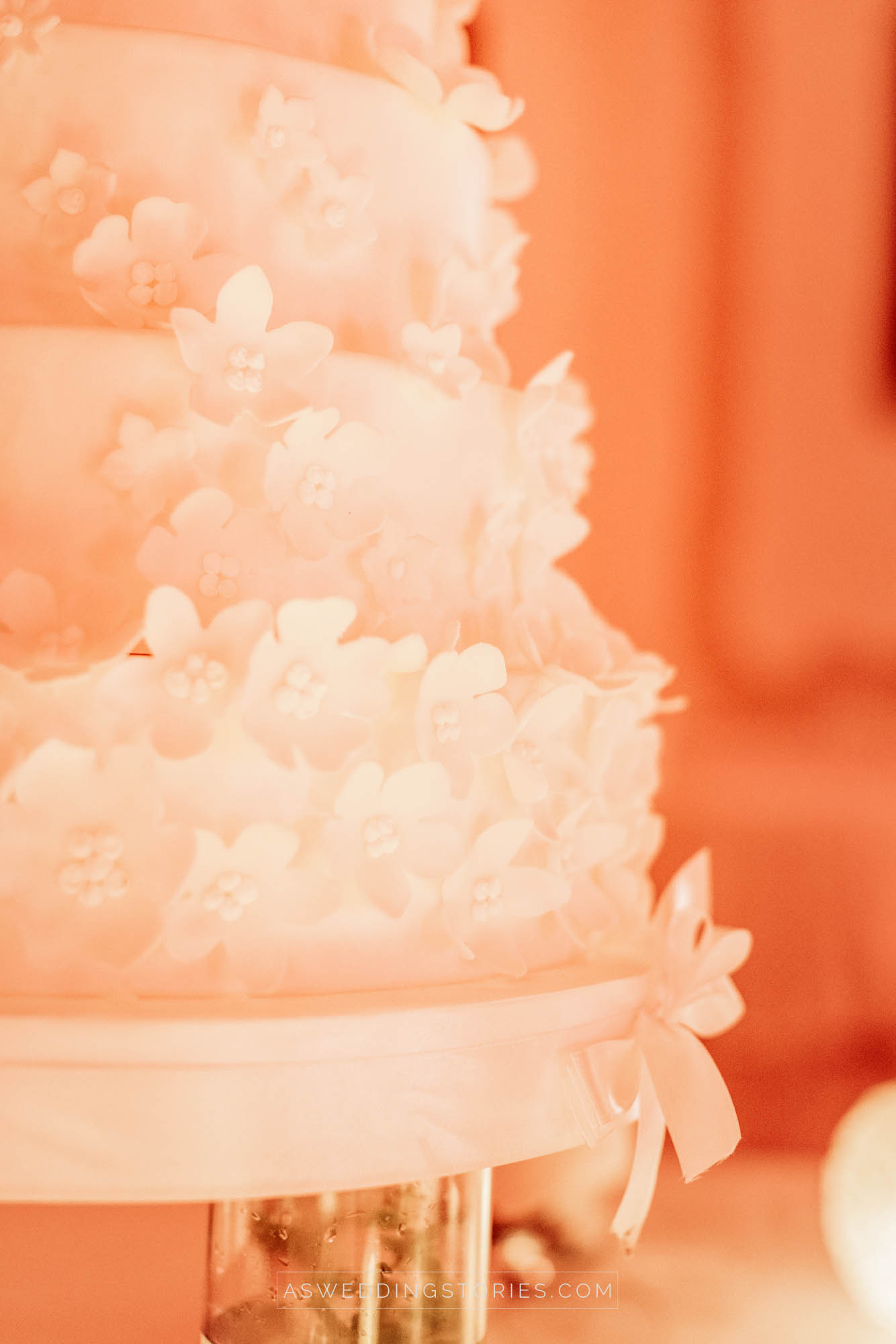 Foto  Trebaseleghe Castello San Salvatore, Susegana Elena  e Gianmarco