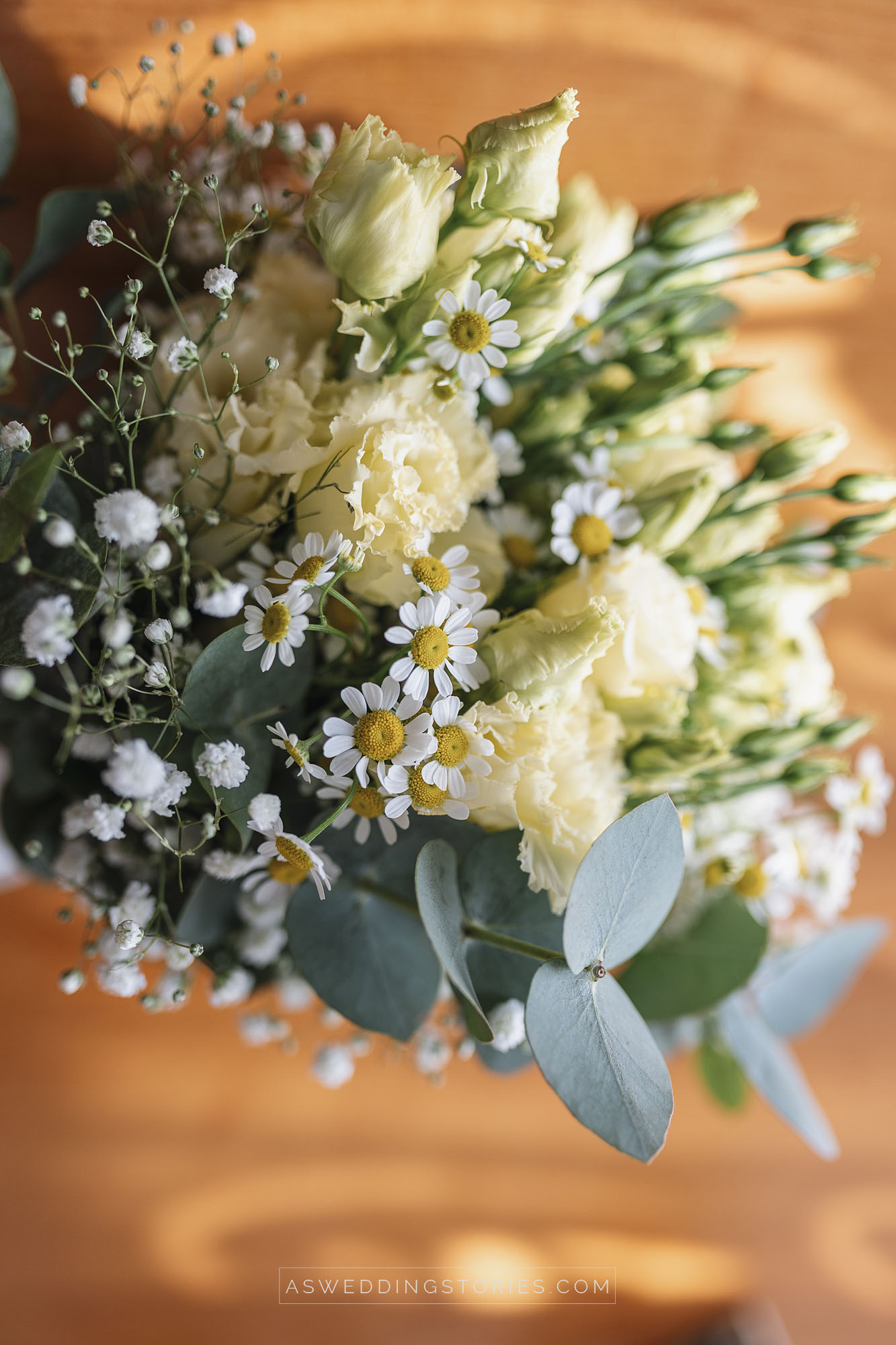 Foto  Trebaseleghe Villa Condulmer Giorgia e Marco