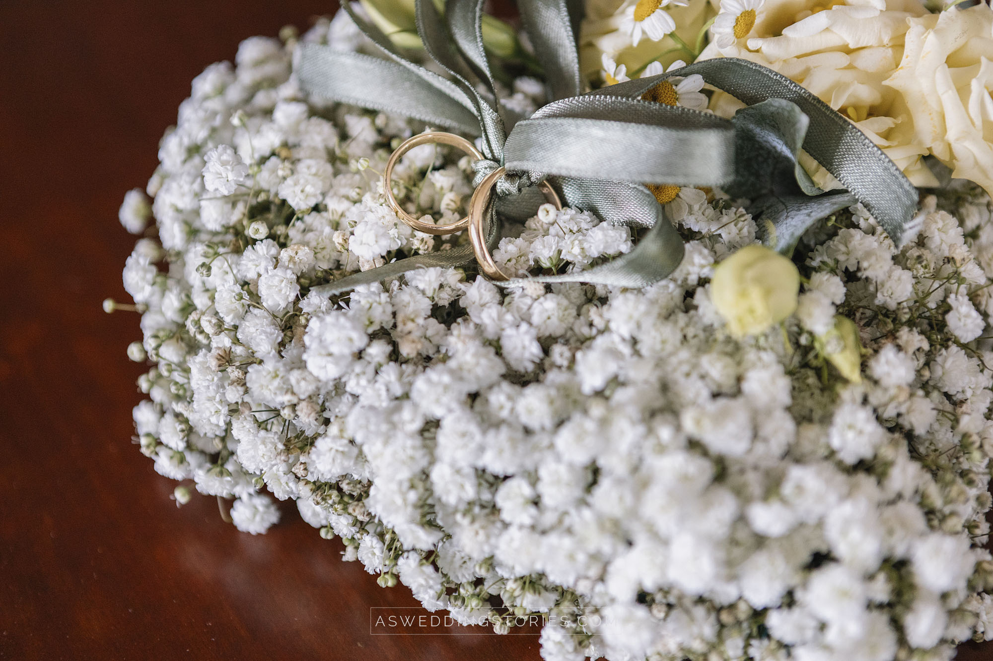 Foto  Trebaseleghe Villa Condulmer Giorgia e Marco