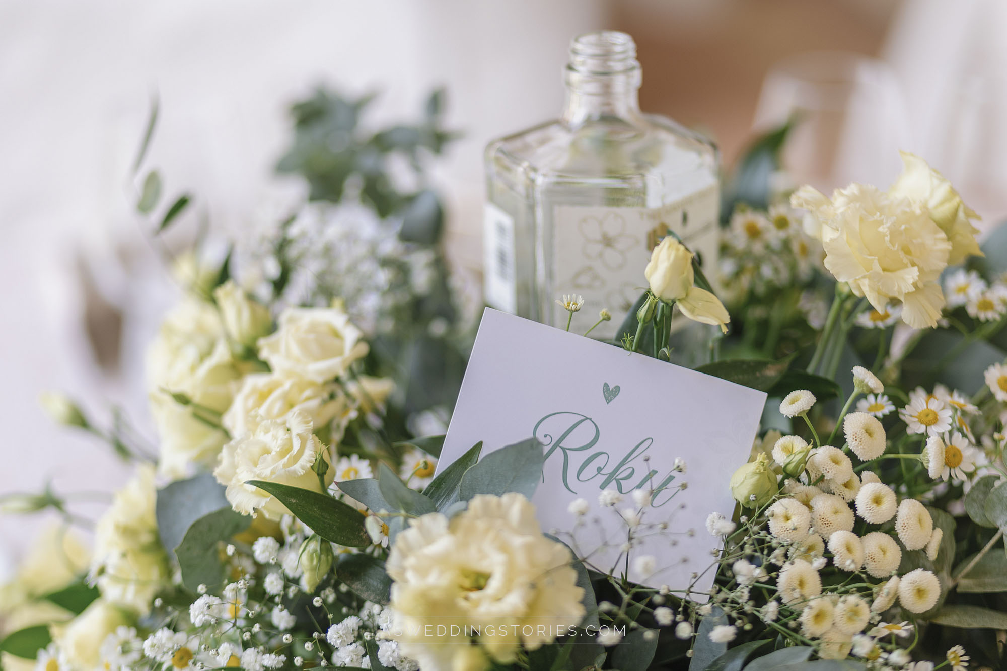 Foto  Trebaseleghe Villa Condulmer Giorgia e Marco