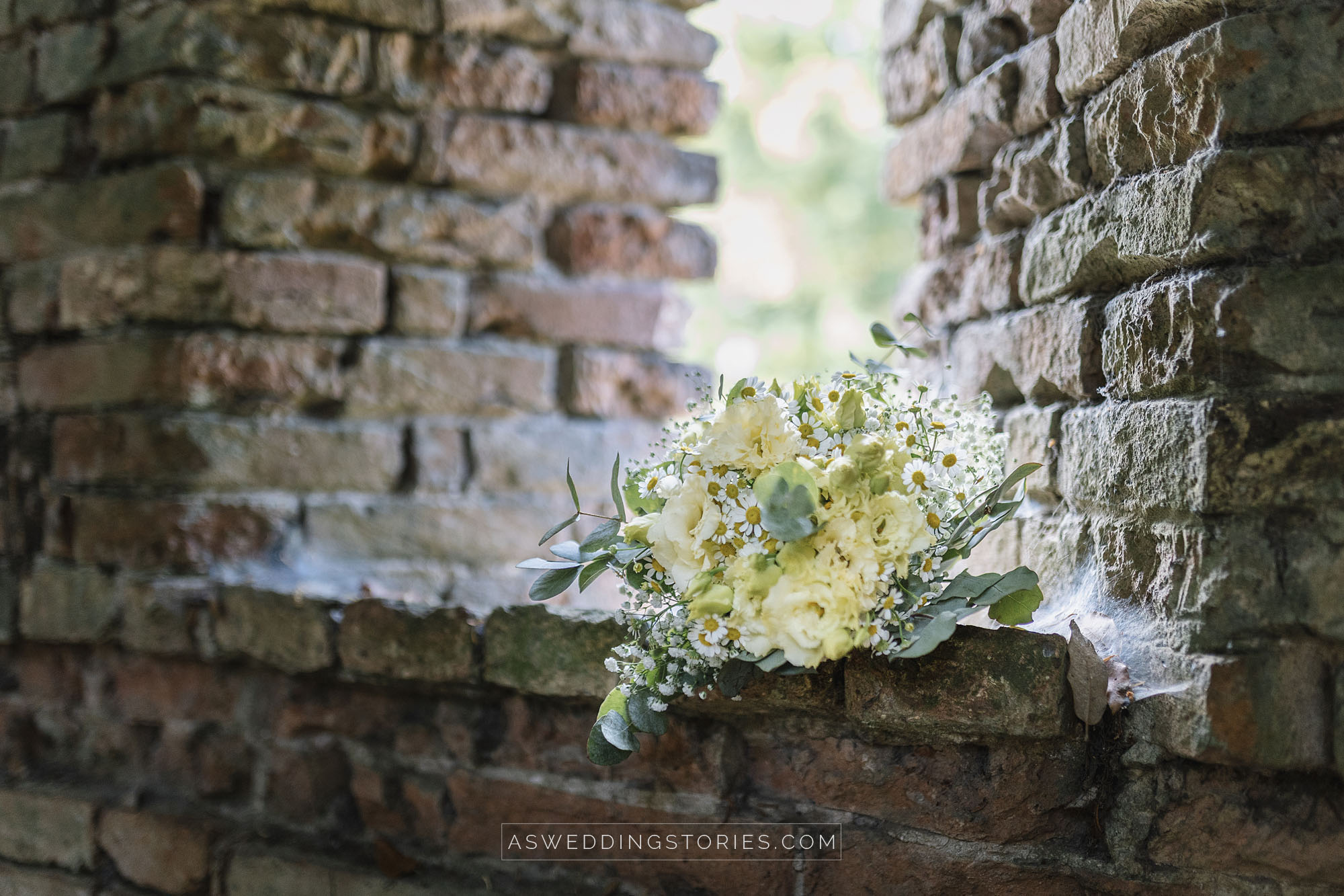 Foto  Trebaseleghe Villa Condulmer Giorgia e Marco