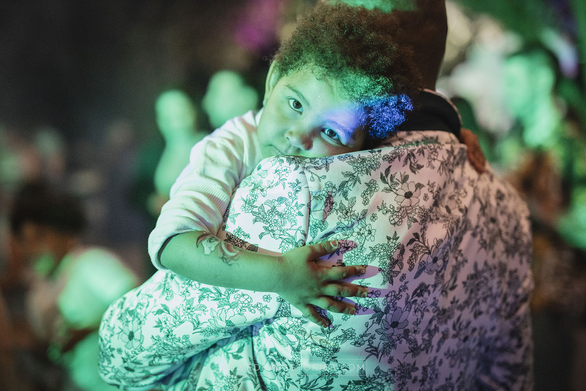 Foto  Trebaseleghe Villa Condulmer Giorgia e Marco