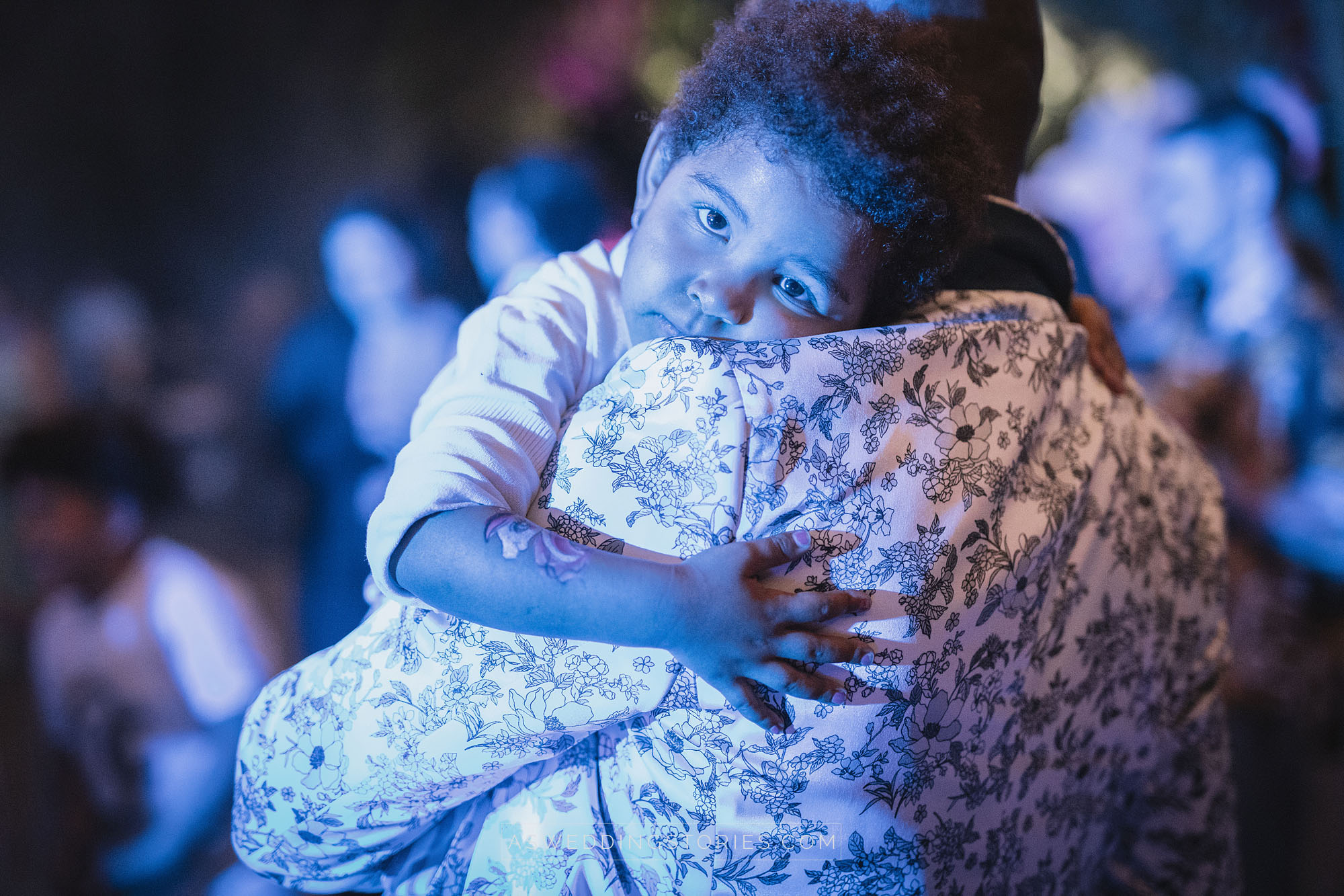 Foto  Trebaseleghe Villa Condulmer Giorgia e Marco