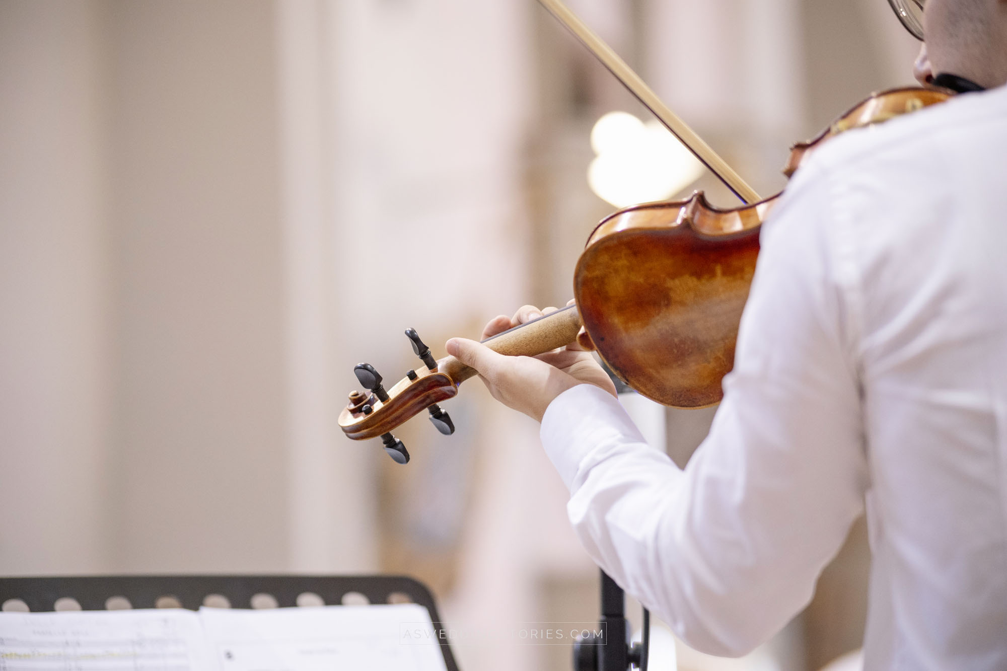 Foto  Montebelluna Tenuta delle mele Ilaria e Marco