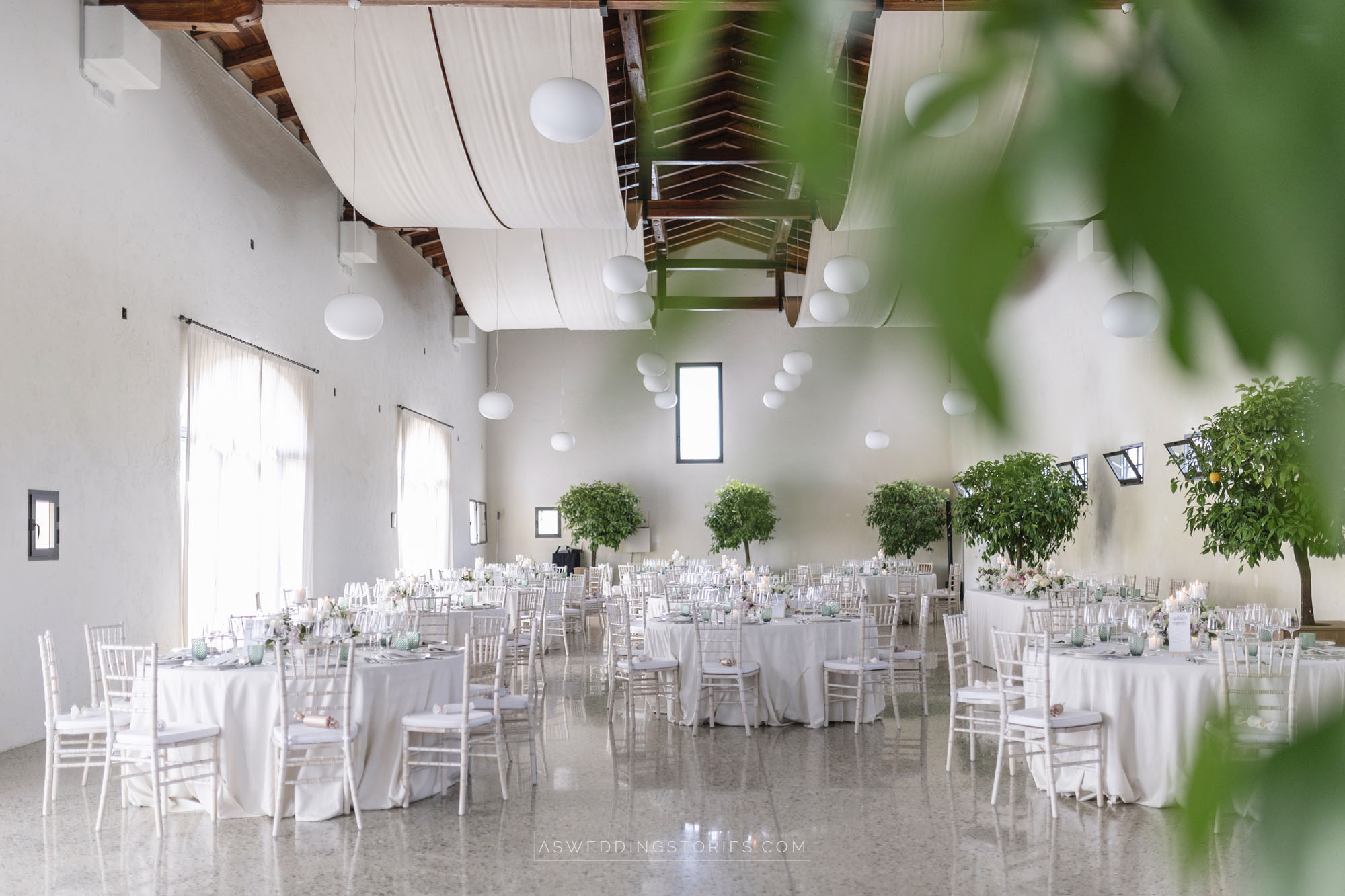 Foto  Montebelluna Tenuta delle mele Ilaria e Marco