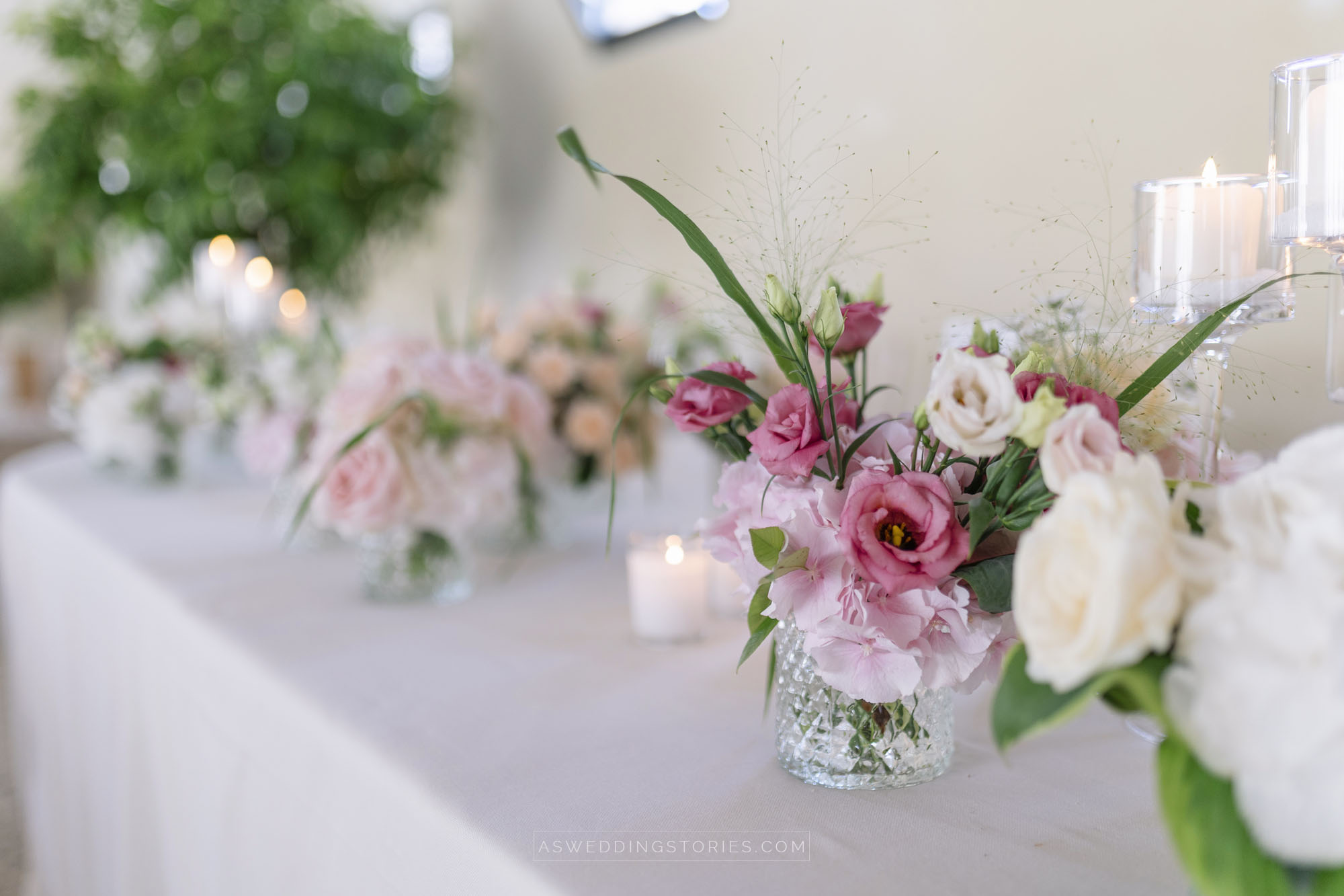 Foto  Montebelluna Tenuta delle mele Ilaria e Marco
