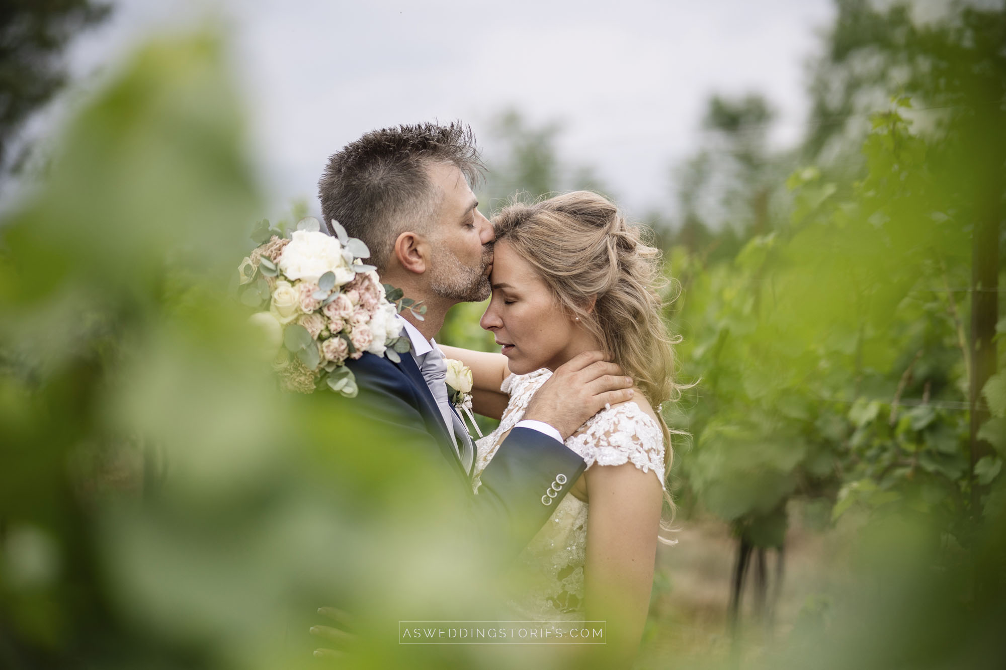 Foto  Montebelluna Tenuta delle mele Ilaria e Marco