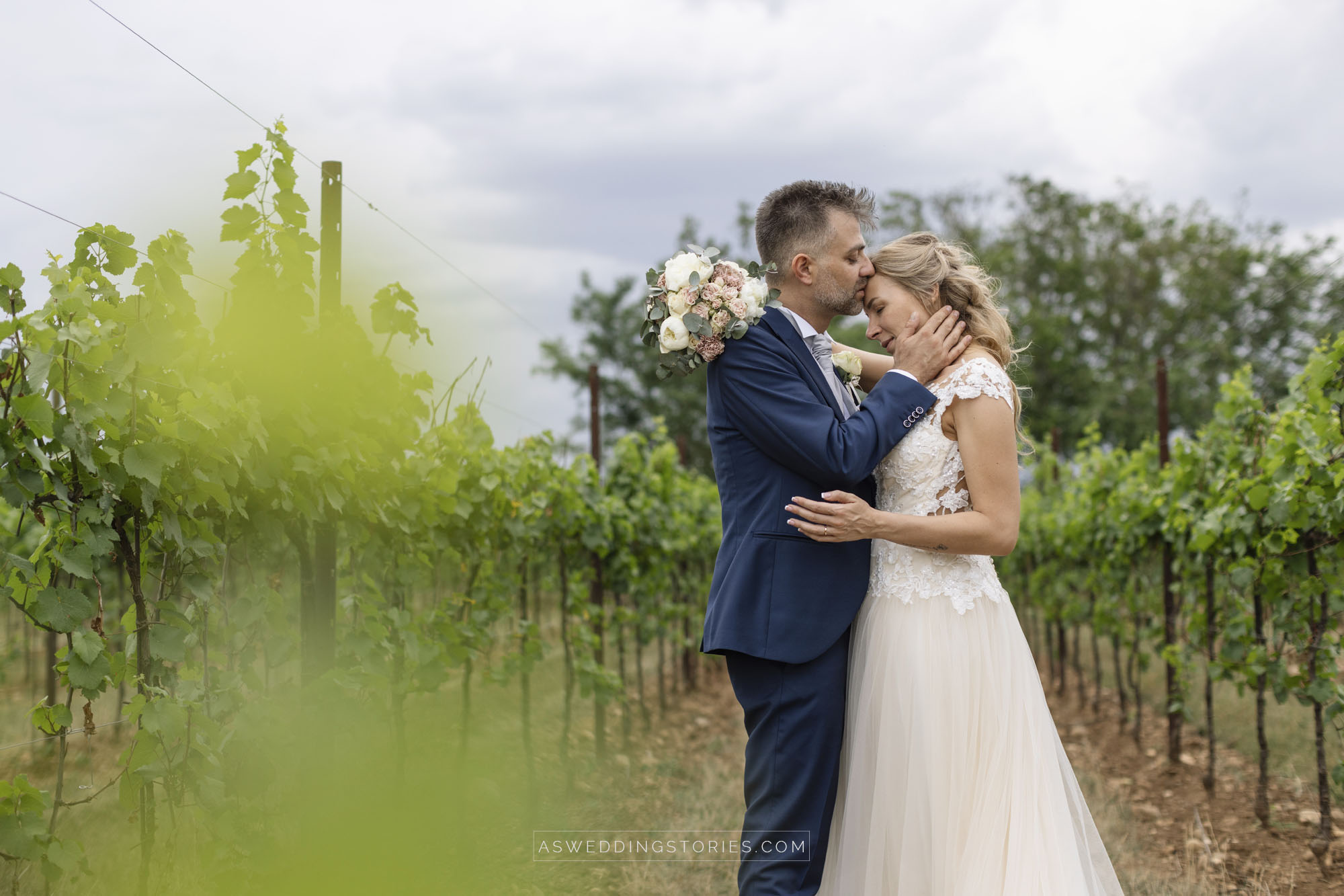 Foto  Montebelluna Tenuta delle mele Ilaria e Marco
