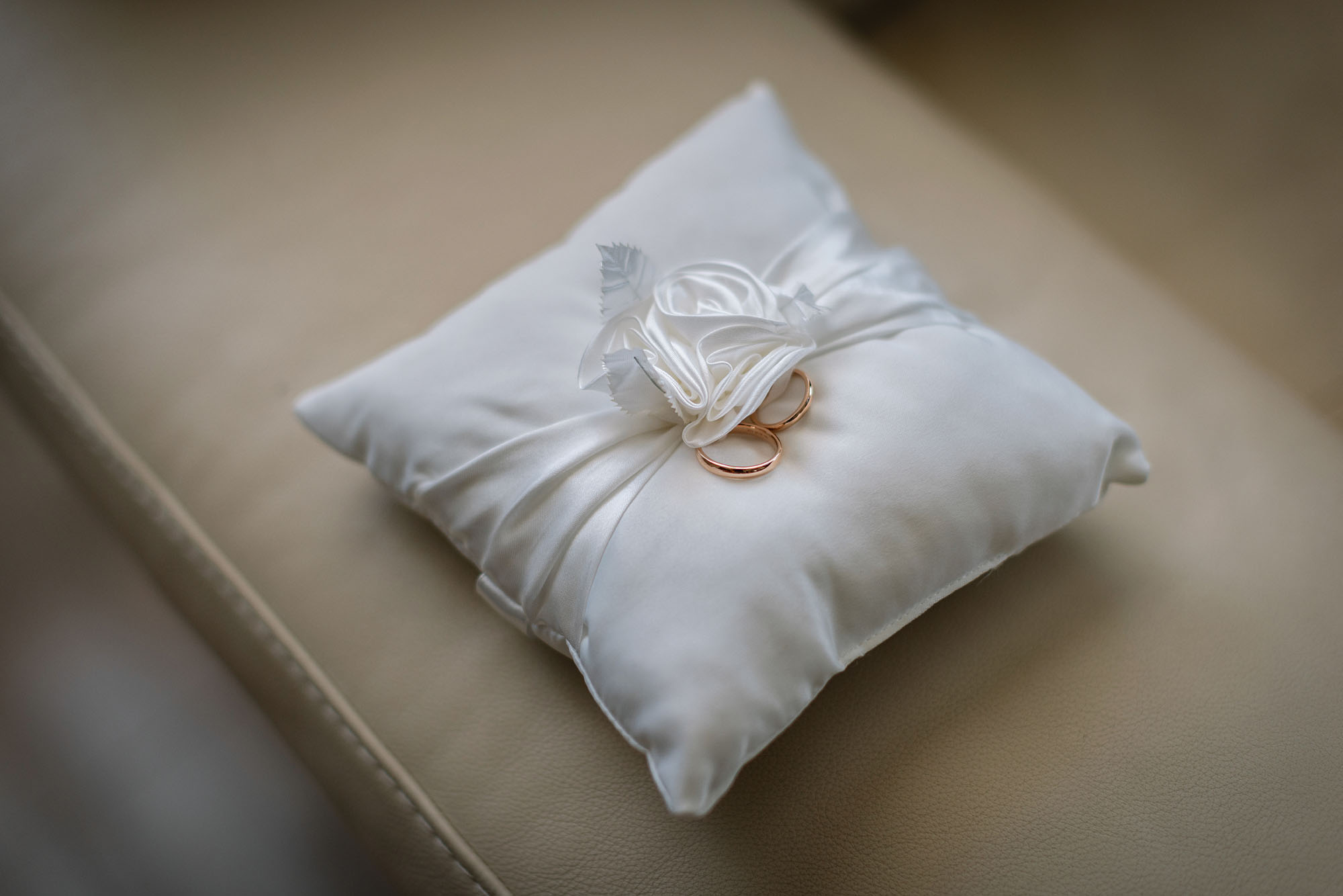 Foto  Villafranca Padova Arquà Petrarca Paola e Marco