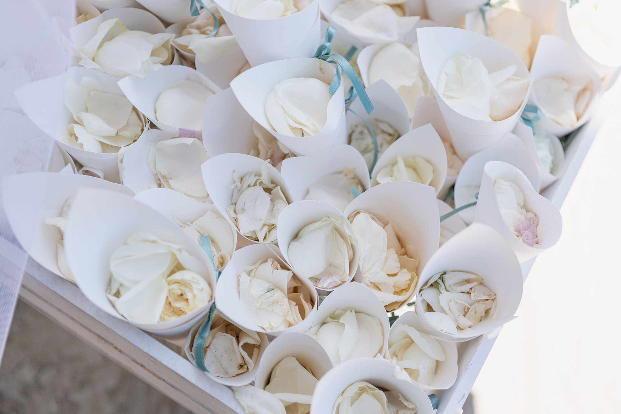 Foto  Villafranca Padova Arquà Petrarca Paola e Marco