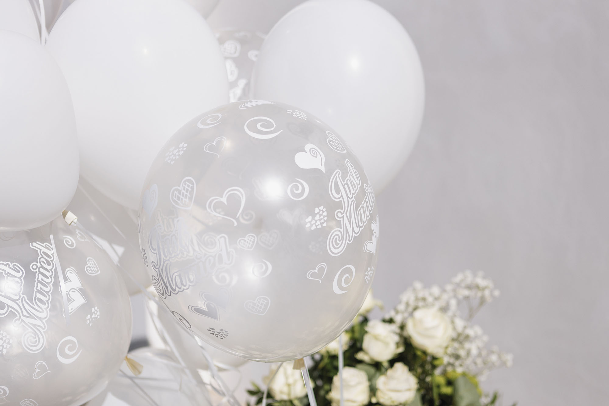 Foto  Villafranca Padova Arquà Petrarca Paola e Marco