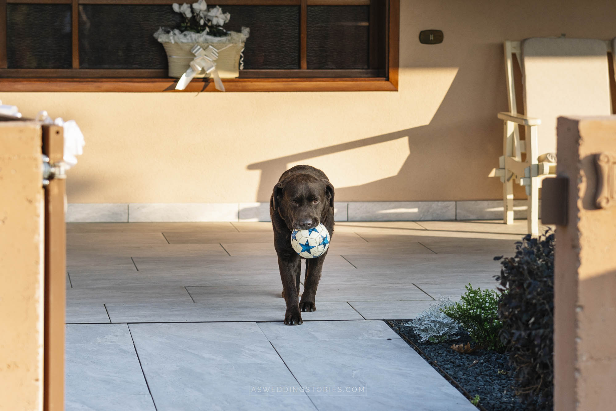 Foto  Trebaseleghe Villa Braida Giorgia e Christian