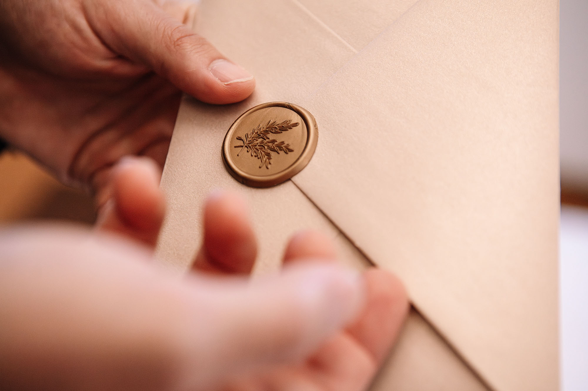Foto  San Vito di Altivole Agriturismo Bosco del Falco sul Montello Francesca e Tommaso