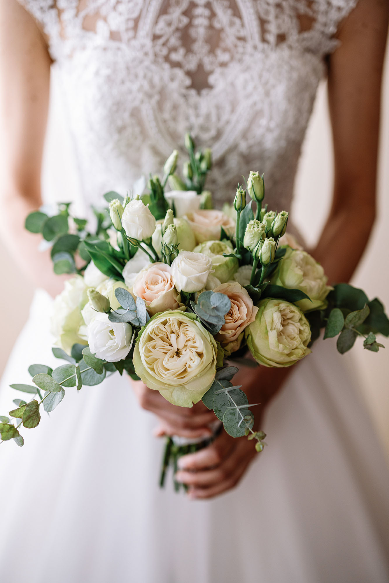 Foto  San Vito di Altivole Agriturismo Bosco del Falco sul Montello Francesca e Tommaso
