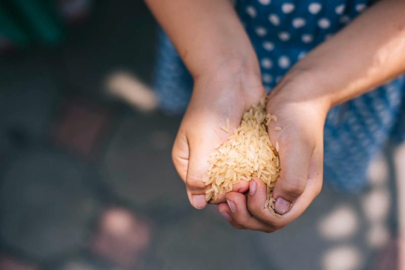 Foto Vigodarzere Villa Petrobelli Lisa ed Enrico